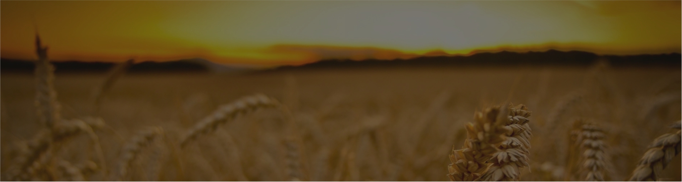 about-banner-image