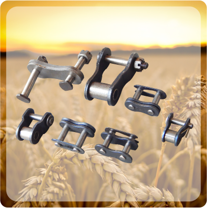 Chain Links
