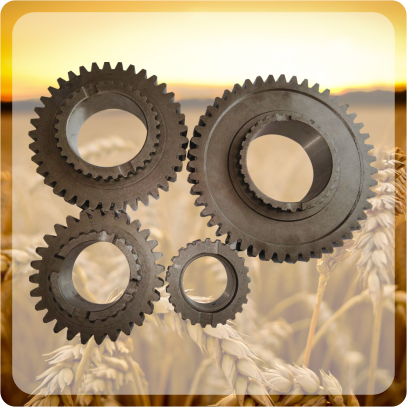 Gear Set