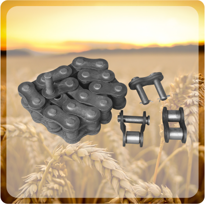Chain with Link & Chain Lock